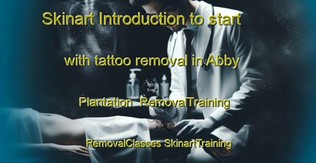 Skinart Introduction to start with tattoo removal in Abby Plantation | #RemovalTraining #RemovalClasses #SkinartTraining-United States