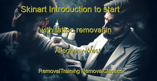 Skinart Introduction to start with tattoo removal in Allegheny West | #RemovalTraining #RemovalClasses #SkinartTraining-United States