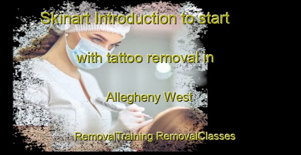 Skinart Introduction to start with tattoo removal in Allegheny West | #RemovalTraining #RemovalClasses #SkinartTraining-United States