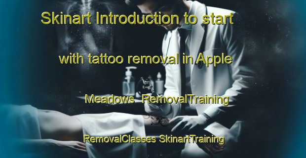 Skinart Introduction to start with tattoo removal in Apple Meadows | #RemovalTraining #RemovalClasses #SkinartTraining-United States