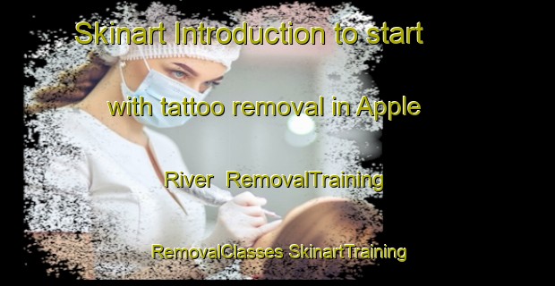 Skinart Introduction to start with tattoo removal in Apple River | #RemovalTraining #RemovalClasses #SkinartTraining-United States