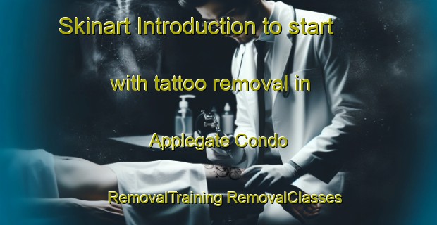 Skinart Introduction to start with tattoo removal in Applegate Condo | #RemovalTraining #RemovalClasses #SkinartTraining-United States