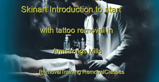 Skinart Introduction to start with tattoo removal in Armstrongs Mills | #RemovalTraining #RemovalClasses #SkinartTraining-United States