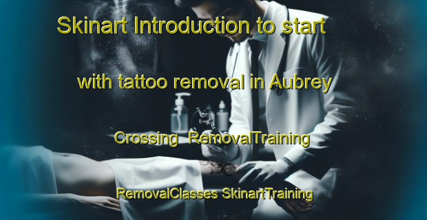 Skinart Introduction to start with tattoo removal in Aubrey Crossing | #RemovalTraining #RemovalClasses #SkinartTraining-United States