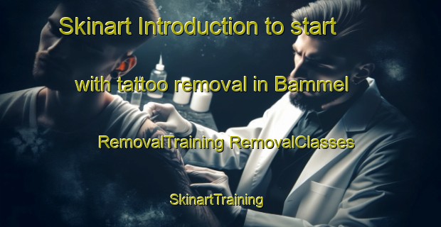 Skinart Introduction to start with tattoo removal in Bammel | #RemovalTraining #RemovalClasses #SkinartTraining-United States