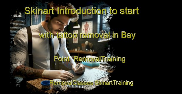 Skinart Introduction to start with tattoo removal in Bay Point | #RemovalTraining #RemovalClasses #SkinartTraining-United States