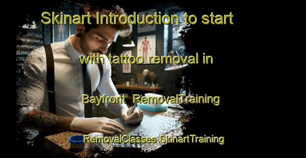 Skinart Introduction to start with tattoo removal in Bayfront | #RemovalTraining #RemovalClasses #SkinartTraining-United States