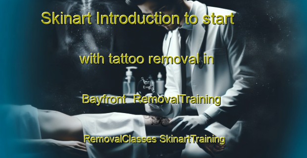 Skinart Introduction to start with tattoo removal in Bayfront | #RemovalTraining #RemovalClasses #SkinartTraining-United States