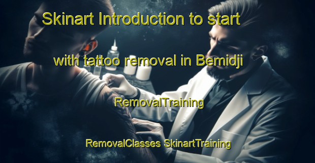 Skinart Introduction to start with tattoo removal in Bemidji | #RemovalTraining #RemovalClasses #SkinartTraining-United States