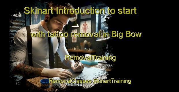 Skinart Introduction to start with tattoo removal in Big Bow | #RemovalTraining #RemovalClasses #SkinartTraining-United States