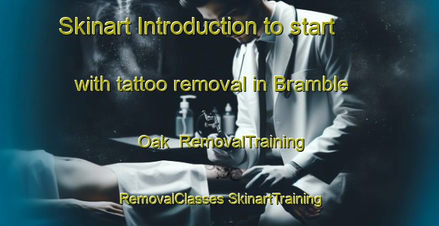 Skinart Introduction to start with tattoo removal in Bramble Oak | #RemovalTraining #RemovalClasses #SkinartTraining-United States