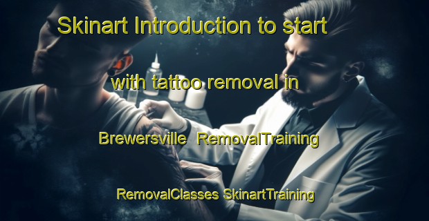 Skinart Introduction to start with tattoo removal in Brewersville | #RemovalTraining #RemovalClasses #SkinartTraining-United States