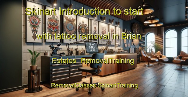 Skinart Introduction to start with tattoo removal in Brian Estates | #RemovalTraining #RemovalClasses #SkinartTraining-United States