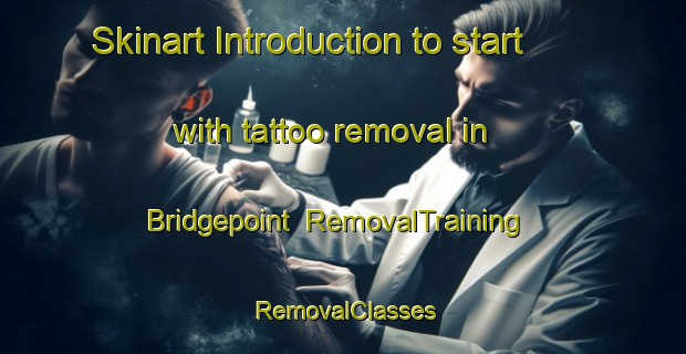 Skinart Introduction to start with tattoo removal in Bridgepoint | RemovalTraining | RemovalClasses | SkinartTraining-United States