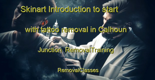 Skinart Introduction to start with tattoo removal in Calhoun Junction | RemovalTraining | RemovalClasses | SkinartTraining-United States