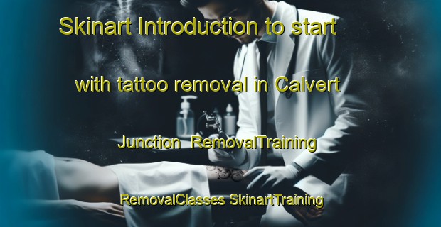 Skinart Introduction to start with tattoo removal in Calvert Junction | #RemovalTraining #RemovalClasses #SkinartTraining-United States