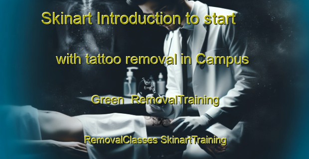 Skinart Introduction to start with tattoo removal in Campus Green | #RemovalTraining #RemovalClasses #SkinartTraining-United States