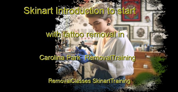 Skinart Introduction to start with tattoo removal in Carolina Park | #RemovalTraining #RemovalClasses #SkinartTraining-United States