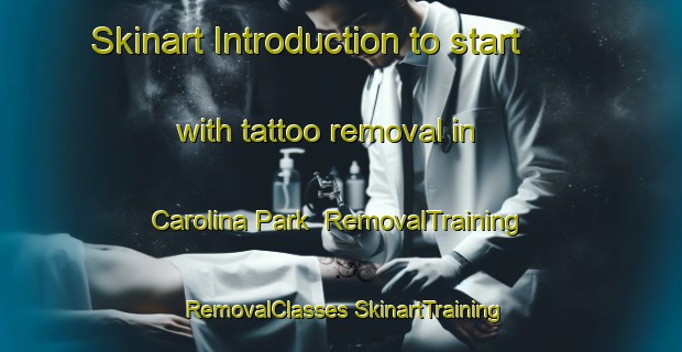 Skinart Introduction to start with tattoo removal in Carolina Park | #RemovalTraining #RemovalClasses #SkinartTraining-United States