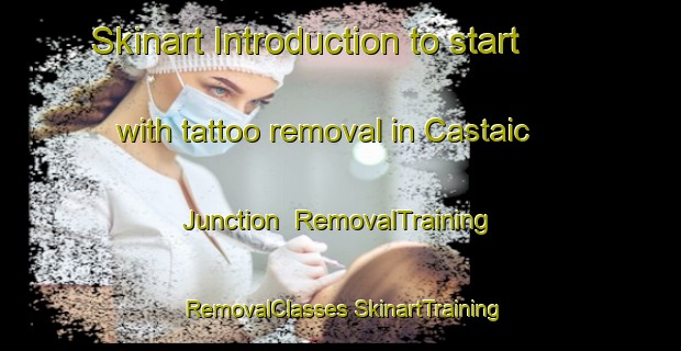 Skinart Introduction to start with tattoo removal in Castaic Junction | #RemovalTraining #RemovalClasses #SkinartTraining-United States