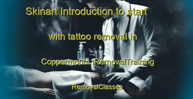 Skinart Introduction to start with tattoo removal in Coppermount | RemovalTraining | RemovalClasses | SkinartTraining-United States