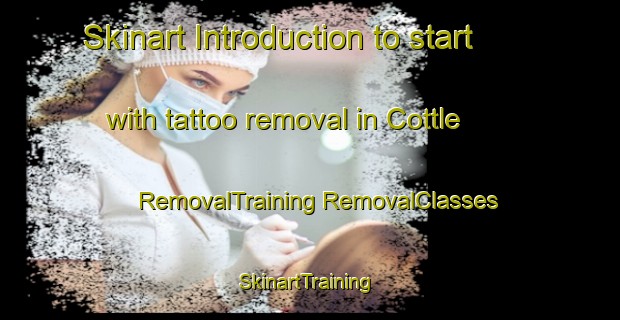 Skinart Introduction to start with tattoo removal in Cottle | #RemovalTraining #RemovalClasses #SkinartTraining-United States