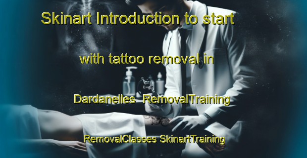 Skinart Introduction to start with tattoo removal in Dardanelles | #RemovalTraining #RemovalClasses #SkinartTraining-United States