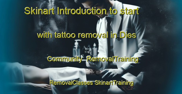 Skinart Introduction to start with tattoo removal in Dies Community | #RemovalTraining #RemovalClasses #SkinartTraining-United States