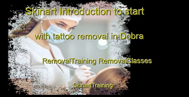 Skinart Introduction to start with tattoo removal in Dobra | #RemovalTraining #RemovalClasses #SkinartTraining-United States