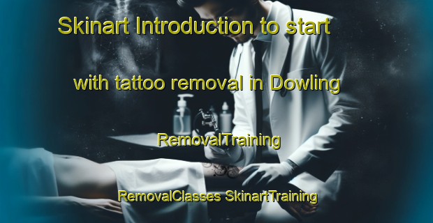 Skinart Introduction to start with tattoo removal in Dowling | #RemovalTraining #RemovalClasses #SkinartTraining-United States