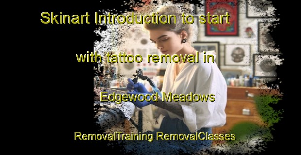 Skinart Introduction to start with tattoo removal in Edgewood Meadows | #RemovalTraining #RemovalClasses #SkinartTraining-United States