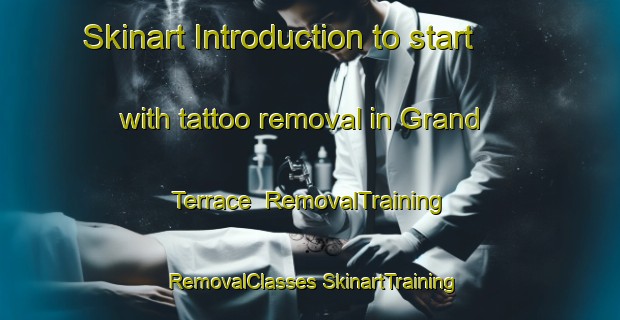 Skinart Introduction to start with tattoo removal in Grand Terrace | #RemovalTraining #RemovalClasses #SkinartTraining-United States