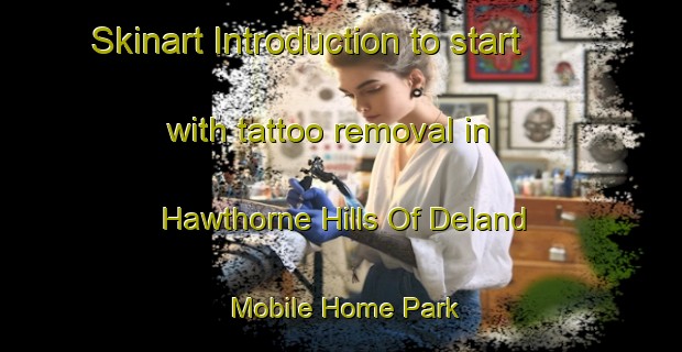 Skinart Introduction to start with tattoo removal in Hawthorne Hills Of Deland Mobile Home Park | RemovalTraining | RemovalClasses | SkinartTraining-United States