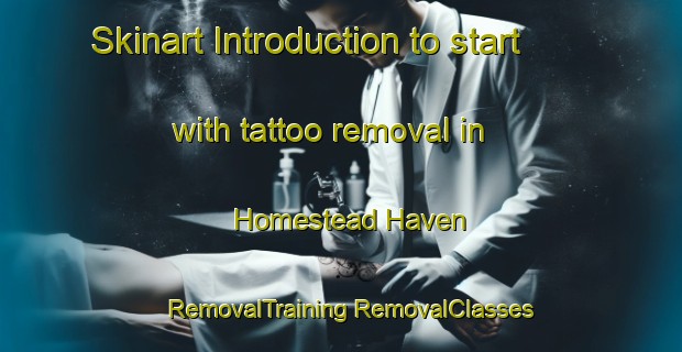 Skinart Introduction to start with tattoo removal in Homestead Haven | #RemovalTraining #RemovalClasses #SkinartTraining-United States