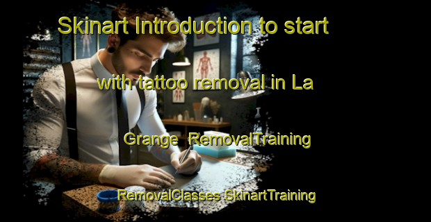 Skinart Introduction to start with tattoo removal in La Grange | #RemovalTraining #RemovalClasses #SkinartTraining-United States