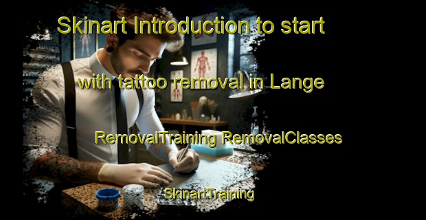 Skinart Introduction to start with tattoo removal in Lange | #RemovalTraining #RemovalClasses #SkinartTraining-United States