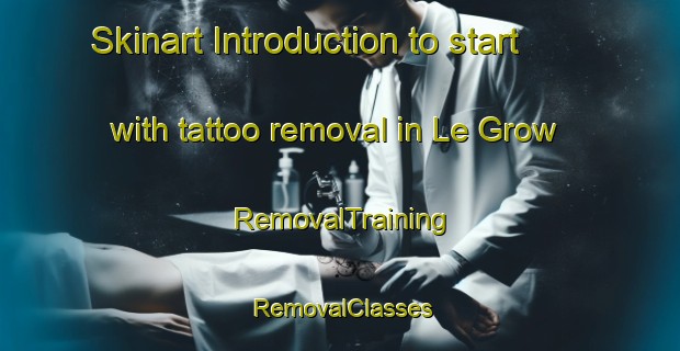 Skinart Introduction to start with tattoo removal in Le Grow | RemovalTraining | RemovalClasses | SkinartTraining-United States