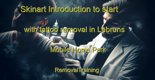 Skinart Introduction to start with tattoo removal in Lebruns Mobile Home Park | RemovalTraining | RemovalClasses | SkinartTraining-United States