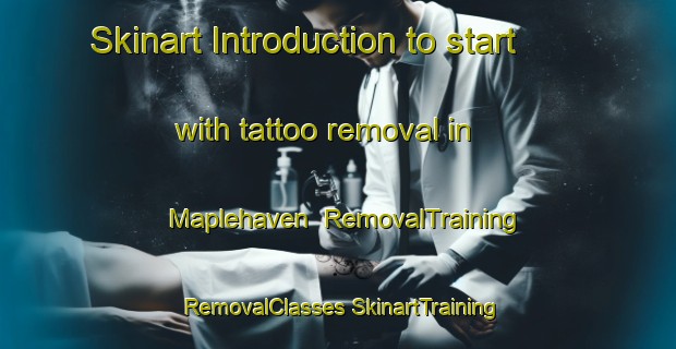 Skinart Introduction to start with tattoo removal in Maplehaven | #RemovalTraining #RemovalClasses #SkinartTraining-United States