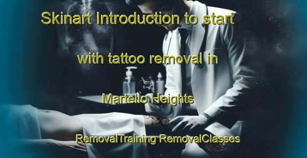 Skinart Introduction to start with tattoo removal in Martello Heights | #RemovalTraining #RemovalClasses #SkinartTraining-United States