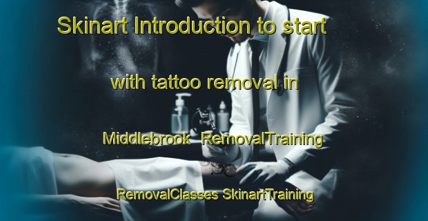 Skinart Introduction to start with tattoo removal in Middlebrook | #RemovalTraining #RemovalClasses #SkinartTraining-United States