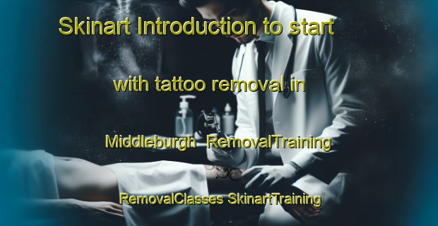 Skinart Introduction to start with tattoo removal in Middleburgh | #RemovalTraining #RemovalClasses #SkinartTraining-United States