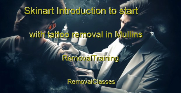 Skinart Introduction to start with tattoo removal in Mullins | RemovalTraining | RemovalClasses | SkinartTraining-United States