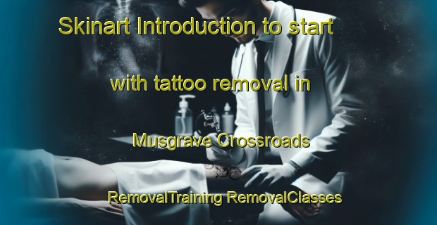 Skinart Introduction to start with tattoo removal in Musgrave Crossroads | #RemovalTraining #RemovalClasses #SkinartTraining-United States