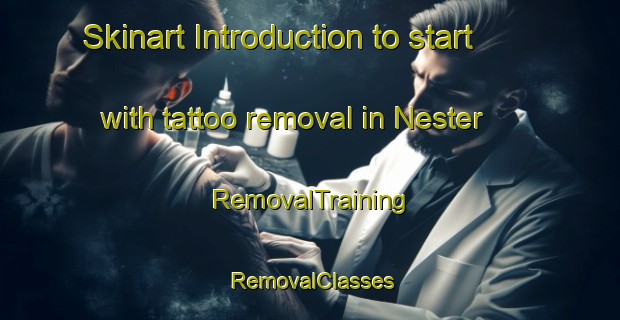 Skinart Introduction to start with tattoo removal in Nester | RemovalTraining | RemovalClasses | SkinartTraining-United States