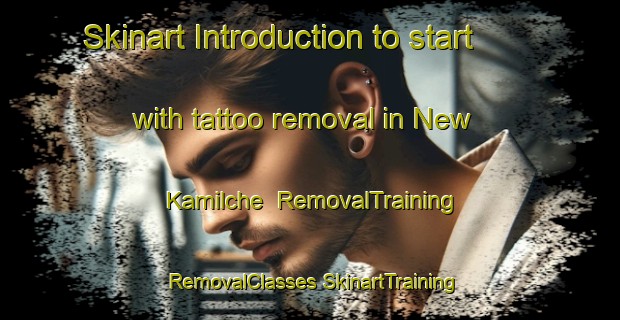 Skinart Introduction to start with tattoo removal in New Kamilche | #RemovalTraining #RemovalClasses #SkinartTraining-United States