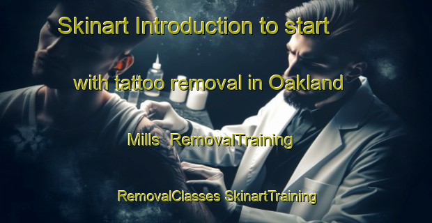 Skinart Introduction to start with tattoo removal in Oakland Mills | #RemovalTraining #RemovalClasses #SkinartTraining-United States