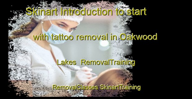 Skinart Introduction to start with tattoo removal in Oakwood Lakes | #RemovalTraining #RemovalClasses #SkinartTraining-United States