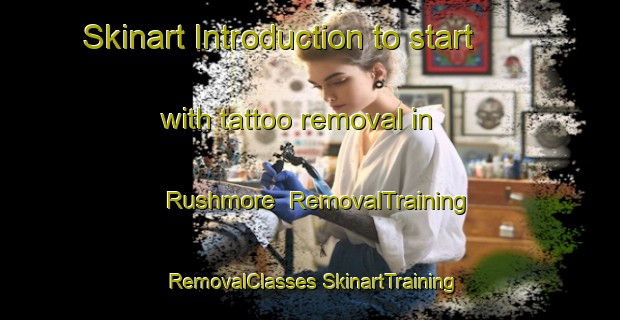 Skinart Introduction to start with tattoo removal in Rushmore | #RemovalTraining #RemovalClasses #SkinartTraining-United States