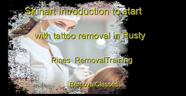 Skinart Introduction to start with tattoo removal in Rusty Pines | RemovalTraining | RemovalClasses | SkinartTraining-United States